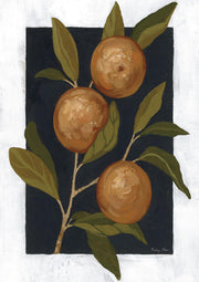 Orange Study IV
