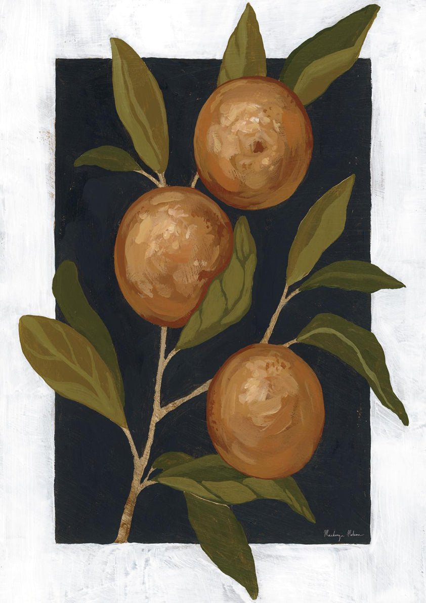 Orange Study IV