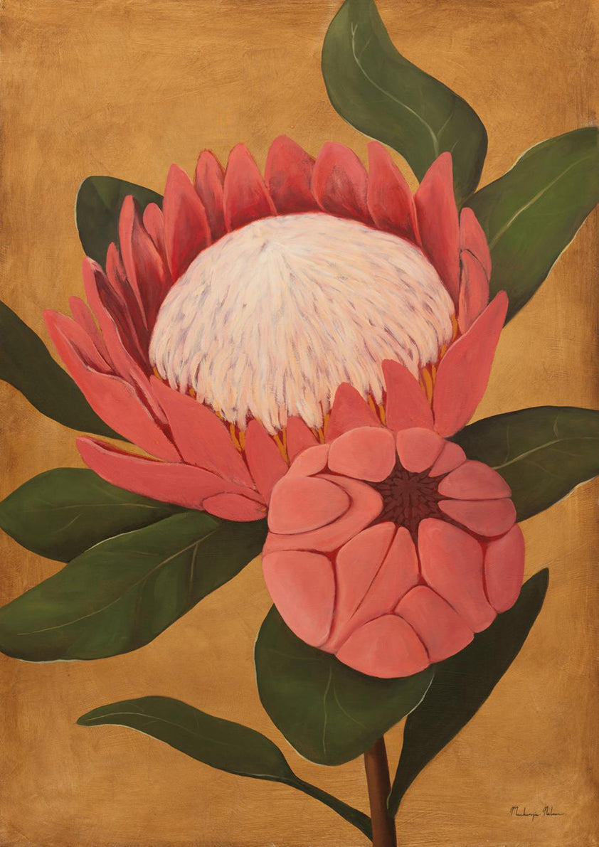 Bloomed