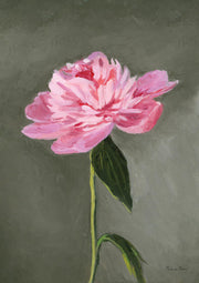 Painting of a single pink peony bloom with green stem on a grey-green background