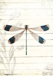 Dragonfly Look