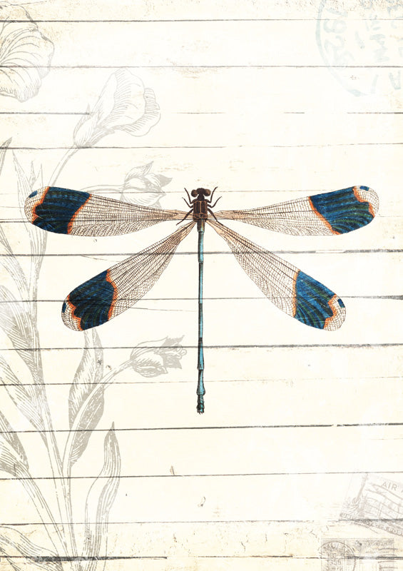 Dragonfly Look