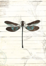 Dragonfly in brown and turquoise on a whitewashed wood panel with faint floral line art