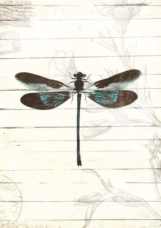 Dragonfly Look 2