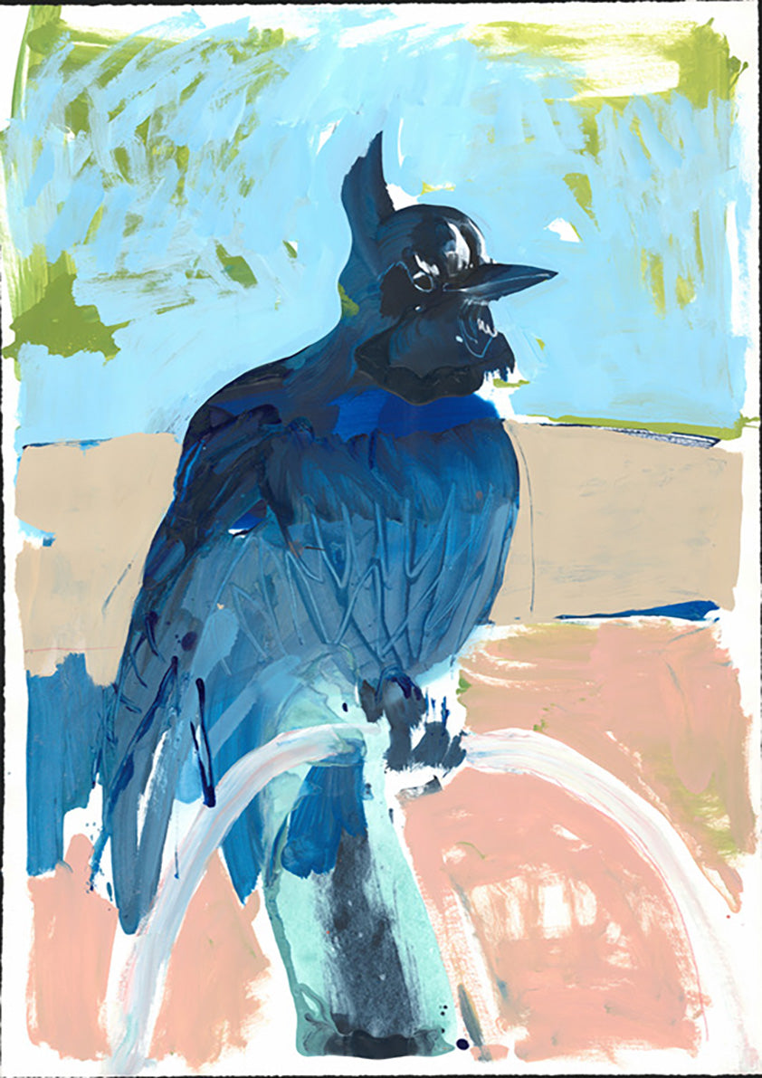 Blue Jay 2