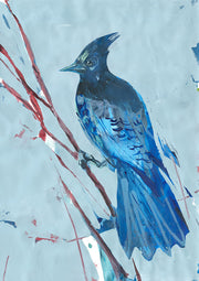 Blue Jay 3