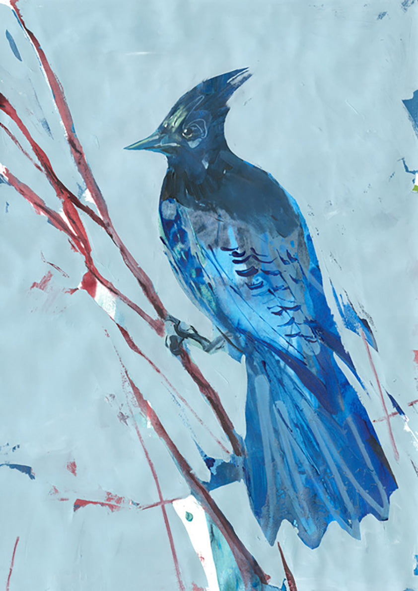 Blue Jay 3