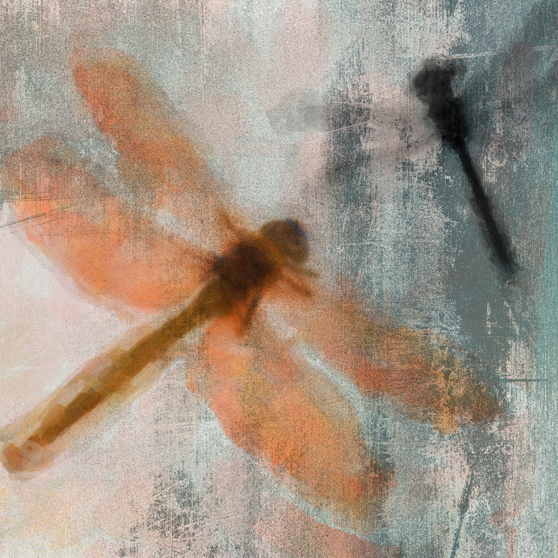 Dragons Fly 1