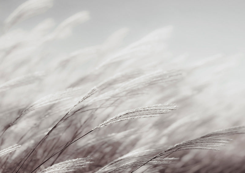 Something Soft