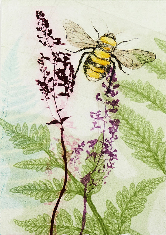 Etched illustration of a bee among purple flower spikes and green fern leaves
