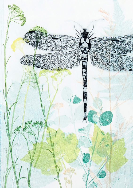 Black and white dragonfly illustration over pastel botanical prints and wildflowers
