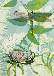 Illustration of a dragonfly and waratah flower among layered teal and green fern leaves